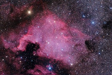 North America Nebula