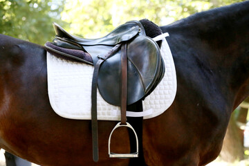 On the back of the horse, a brown leather saddle