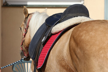 On the back of the horse, a brown leather saddle