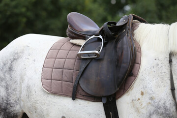 On the back of the horse, a brown leather saddle