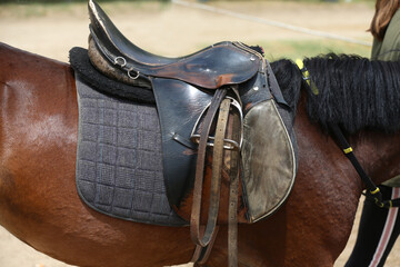 On the back of the horse, a brown leather saddle