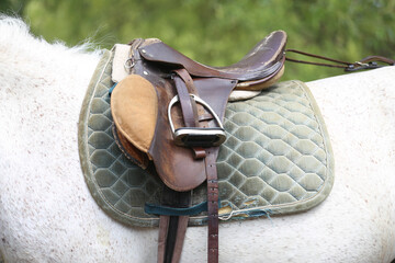 On the back of the horse, a brown leather saddle