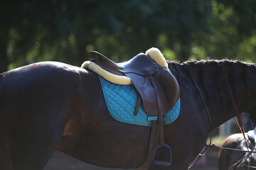 On the back of the horse, a brown leather saddle