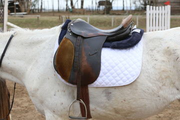 On the back of the horse, a brown leather saddle
