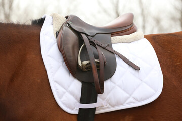 On the back of the horse, a brown leather saddle