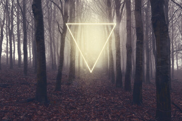 A fantasy concept of a glowing triangle portal in a forest. On a misty spooky winters evening. © Dave