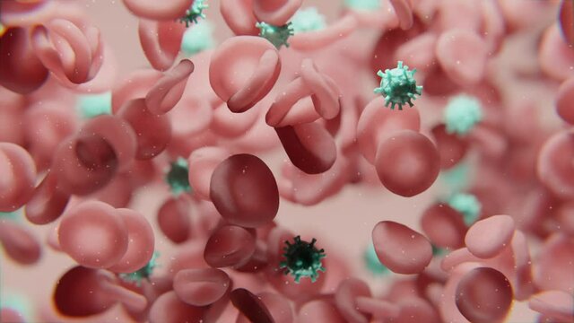 rote Blutpl&auml;ttchen und Corona Virus