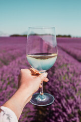 Female hand with white wine glass on a Lavender fields background in Provence, France. Countryside...