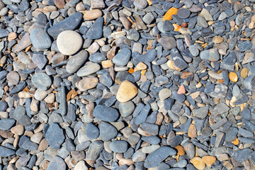 Sea pebbles. Natural background from small and large stones. Template for text