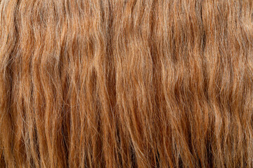 The texture of beautiful thick red hair. Beautiful wavy hair.
