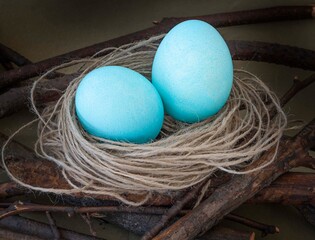 easter eggs in a nest
