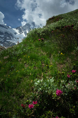 Fototapeta premium monte rosa