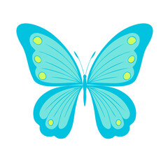 Elegant little colored butterfly , vector illustration, icon. Butterfly with open wings, top view.
