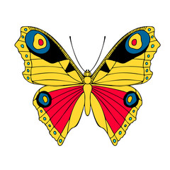 Elegant little colored butterfly , vector illustration, icon. Butterfly with open wings, top view.