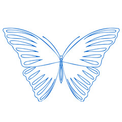 Butterfly contour vector drawing. Insect butterfly coloring book.