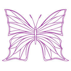Butterfly contour vector drawing. Insect butterfly coloring book.