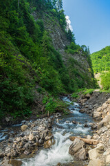 Fototapeta na wymiar Mountain river in the Carpathian mountains Ukraine. Summer beautiful landscape