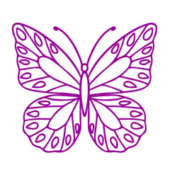 Butterfly contour vector drawing. Insect butterfly coloring book.
