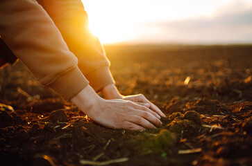 Male hands touching soil on the field. Agriculture, organic gardening, planting or ecology concept....