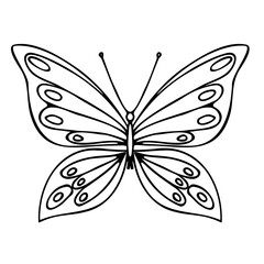 Butterfly contour vector drawing. Insect butterfly coloring book.