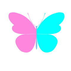 Two-color butterfly. Butterfly , vector illustration, icon.Template for printing , vector illustration, icon.