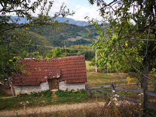 Tara National Park in Serbia