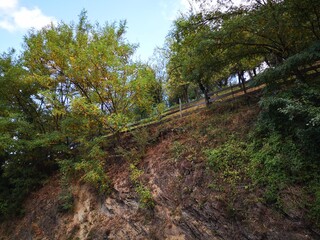 Tara National Park in Serbia