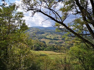 Tara National Park in Serbia