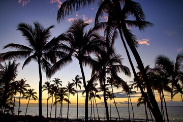 Fototapeta na wymiar Beautiful sunset on the Big Island, Kohala Coast, HAWAII