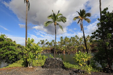 Fototapeta premium ish Pond in Kalahuipuaa Historical Park on the Big Island of Hawaii, one of the world's three largest power spots 