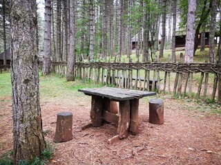 the village of Sirogojno in serbia
