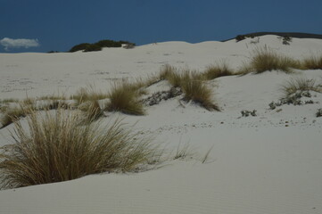 dune sul mare