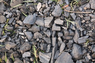 stone in the forest
