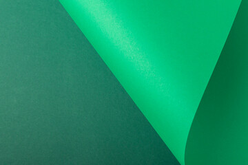 Design background curved background from green cardboard. Top view, flat lay