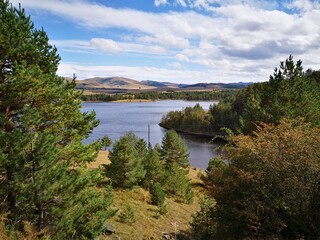 Fototapeta premium warm autumn day in zlatibor