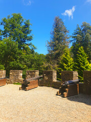 War cannons, sky and trees