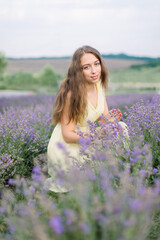 Fototapeta na wymiar Aromatherapy, and harvesting concept. Beautiful young Caucasian long haired woman in a light yellow dress collects lavender at summer flowering field