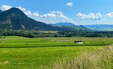 Landscape with trees and blue sky, Pieniny moutains, Poland © Robert