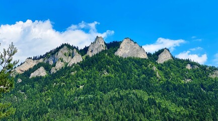 Trzy Korony mountain, Landscape with trees and blue sky, Pieniny moutains, Poland © Robert