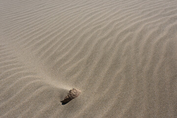 Single rock on wind blown sandy beach