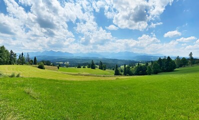 Landscape with grass and mountains,Polish Tatras, Poland