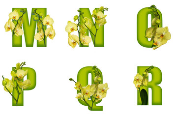 Volumetric letters of the English alphabet with yellow flowers