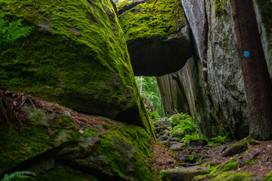 on a hiking trail in the middle of nature  near Larvik in Norway