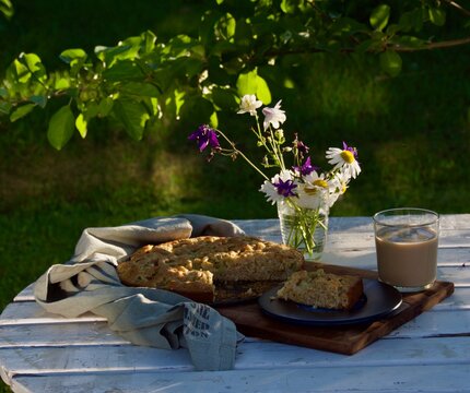 rhubarb paj in the garden in evening
