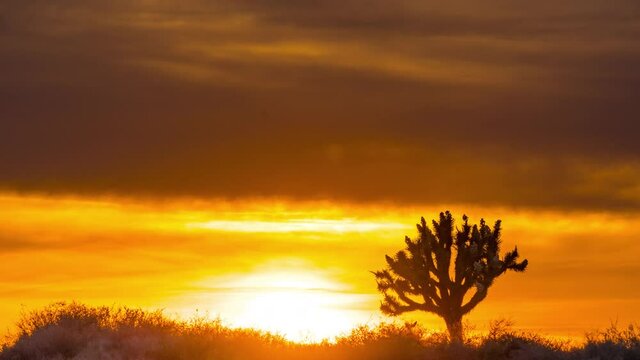 El Mirage Joshua Tree Sunset, California Mountains Snow & Desert Time Lapse

