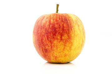 Portrait of an apple - eco-friendly and healthy