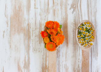 chamomile and calendula flowers in wooden spoons on a table with copy space. concept of alternative medicine, natural cosmetics, aromatherapy, homeopathy, medicinal herbs and plants