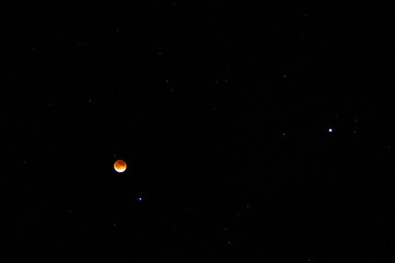 Moon Mars & Some Friends