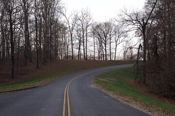 Fototapeta premium road in the woods