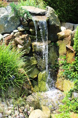 Fototapete bei efototapeten.de bestellen   